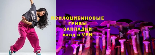 винт Алзамай
