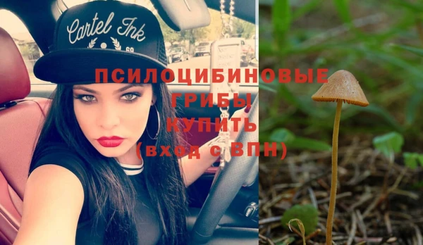 эйфоретик Алексеевка