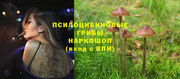 эйфоретик Алексеевка
