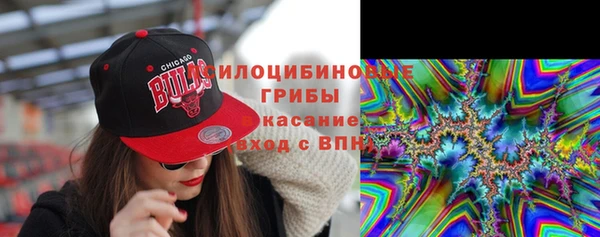 винт Алзамай